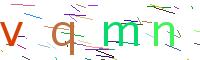 Verify Code