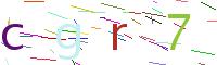Verify Code