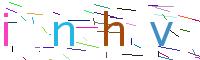 Verify Code