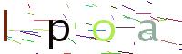 Verify Code