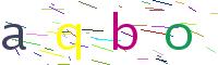 Verify Code